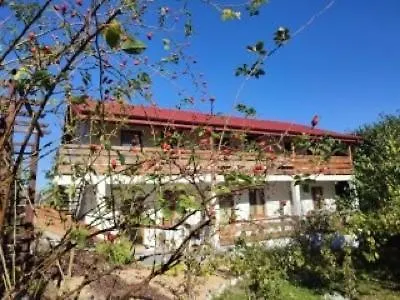 Noclegi U Dorki Kurzetnik Exterior photo