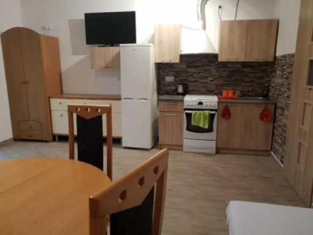 U Dorki Apartment *